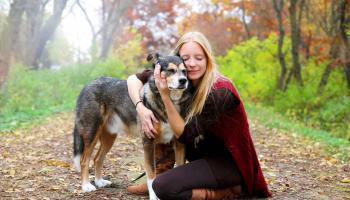 ایالت تنسی آمریکا لایحه ای را برای حضانت حیوانات خانگی پس از طلاق ارائه می کند