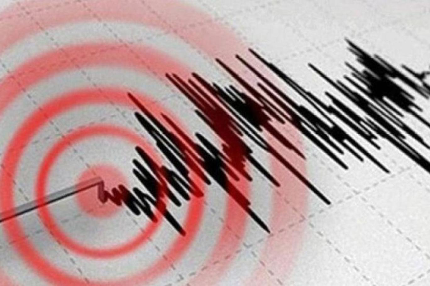 A strong earthquake has rocked Iran   